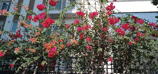 Asia Pacific Institute of Management New Delhi Campus Life photo 41